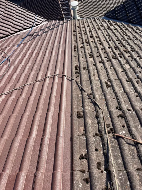 Nettoyage et application de peinture sur une toiture de maison à Thonon-les-Bains, Thonon-les-Bains, Jules Couverture