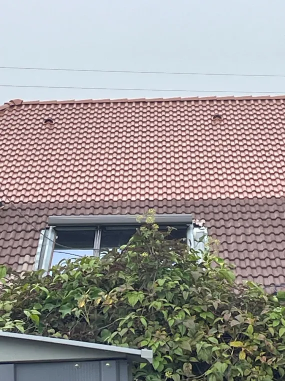 Traitement d'une toiture de maison ancienne à Sciez, Thonon-les-Bains, Jules Couverture