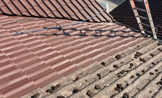Nettoyage et application de peinture sur une toiture de maison à Thonon-les-Bains, Thonon-les-Bains, Jules Couverture